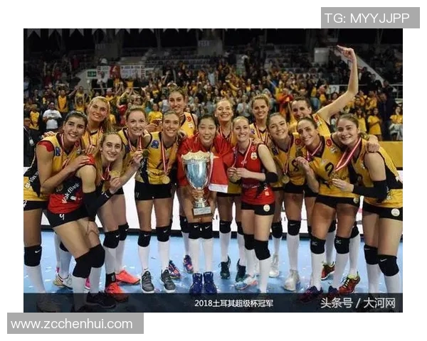 武汉排球队节奏分析与大满贯赛事表现评析