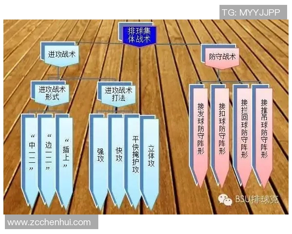 武汉排球队的战术风格与赛季表现深度分析